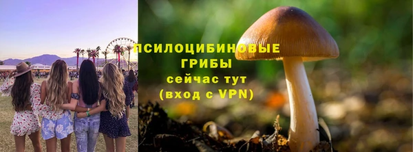 спайс Абинск
