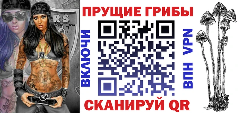 Псилоцибиновые грибы мицелий  сайты даркнета формула  Агрыз 